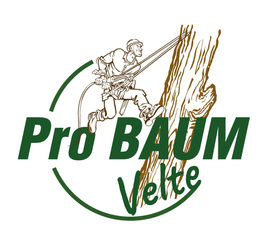 logo-probaum